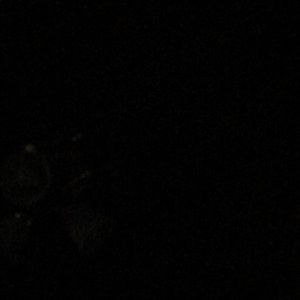 Meet your Posher, Alexa